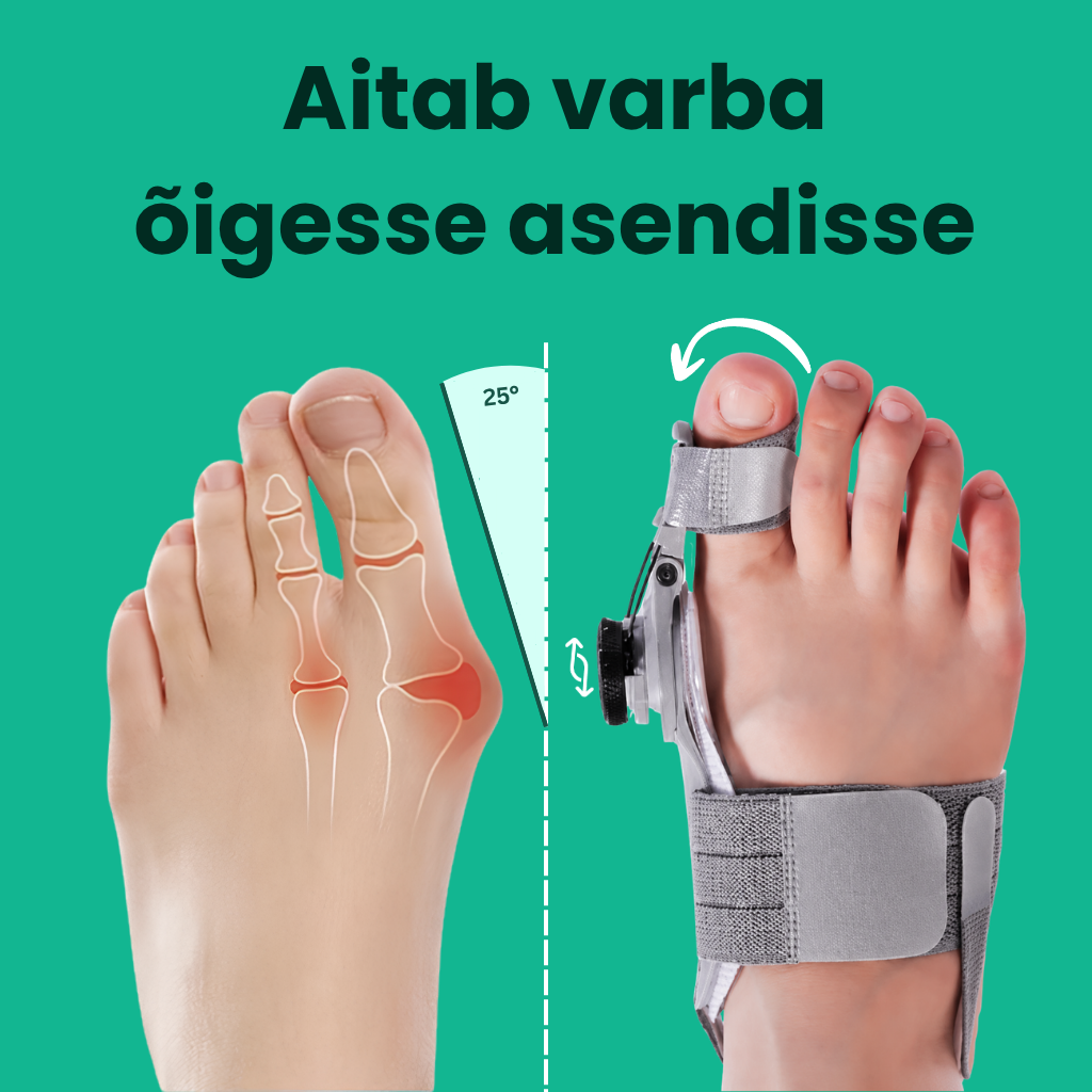 VarbaAbi™ Korrektor